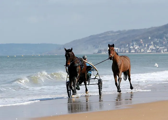 Les Pieds Dans Le Sable