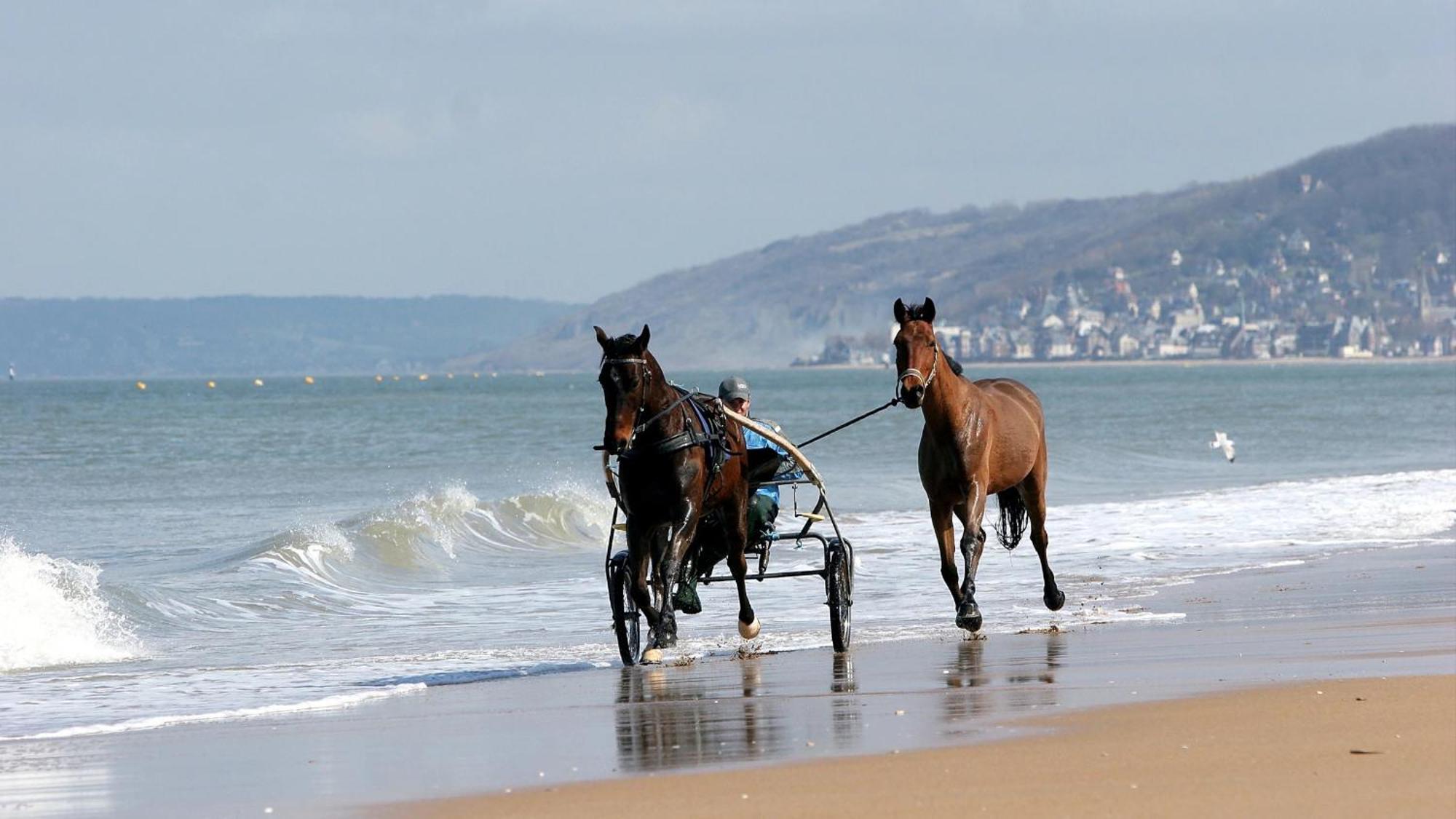 Apartment Les Pieds Dans Le Sable *